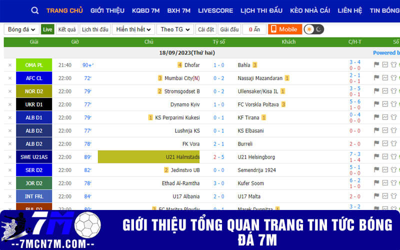 Giới thiệu tổng quan trang tin tức bóng đá 7m